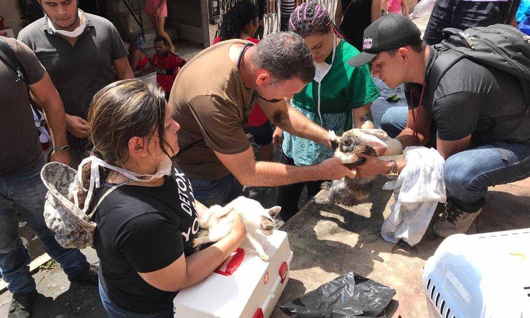 xWhatsApp-Image-2018-12-18-at-15.54.24.jpeg.jpg.pagespeed.ic.h6-FJrOKj4